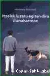 Itzalak luzatu egiten dira ilunabarrean vignette